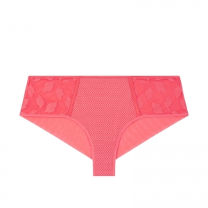 DAHLIA 222/PAPAJA