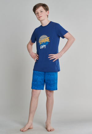  803/BLAUW