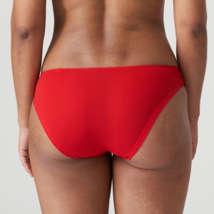 DANAE SRE ROOD