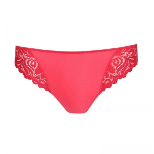 ELIS SPB Spicy Berry