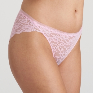 COLOR STUDIO LLR LILY ROSE