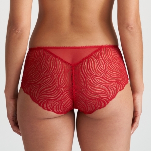 COELY STK STRAWBERRY
