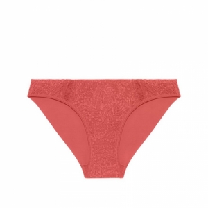 COMETE 457/ROSE TEXAS