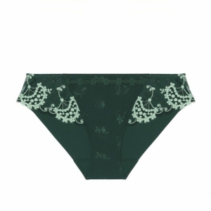 WISH 658/VERT KOLSAI