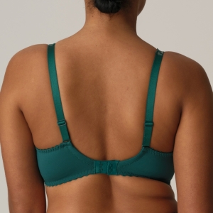 SPRINGDALE JAS JASPER GREE