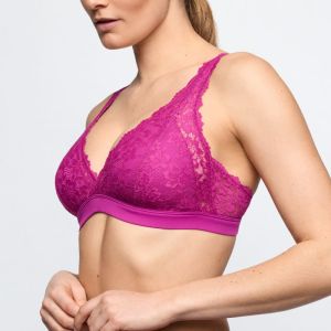 SOFT STUDIO WIR WILD ROSE